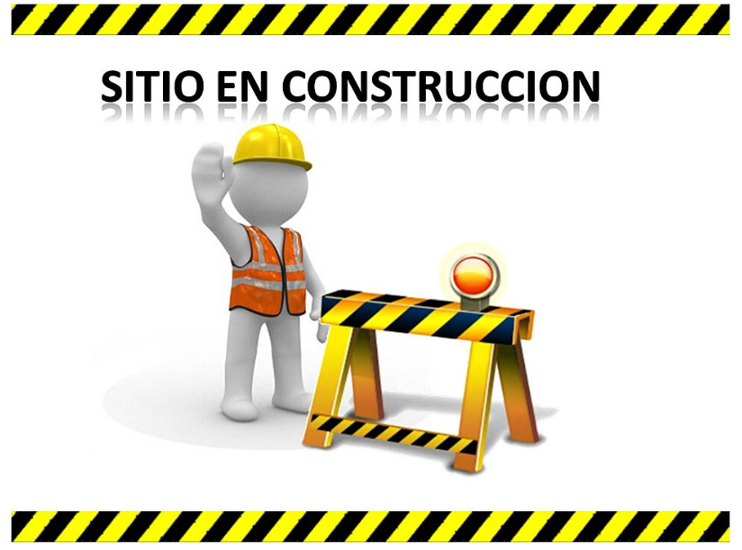 AREISI Action Report International Security Institute  